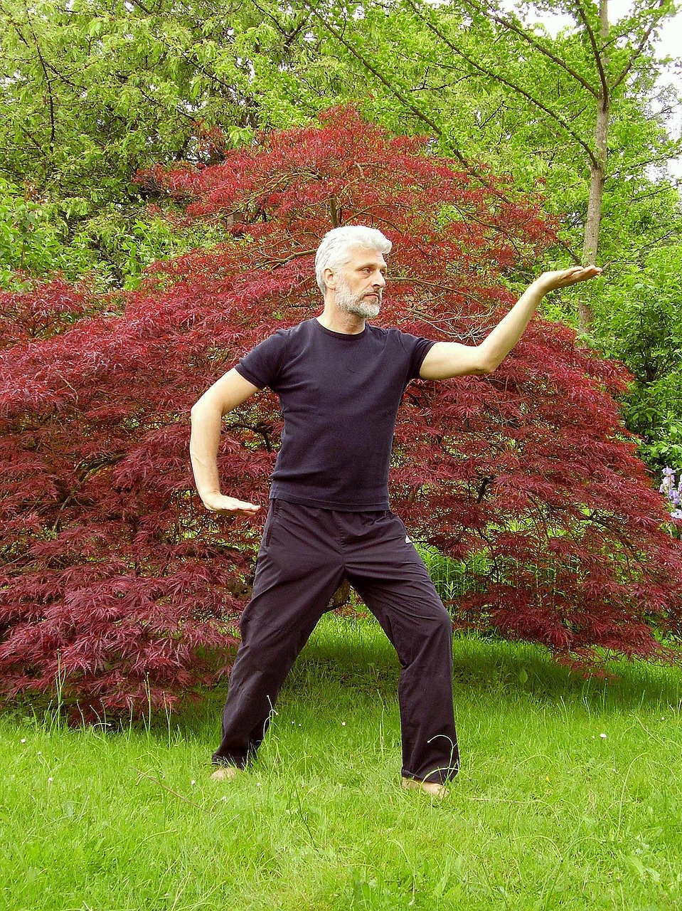 tai chi, taiji, qigong, qi gong, chi kung, fernöstlich, inner calm, spiritual, quiet, serenity, park, garden, tree, meditation, spirituality, wellness, meditate, inner peace, tai chi, tai chi, tai chi, tai chi, tai chi, qigong